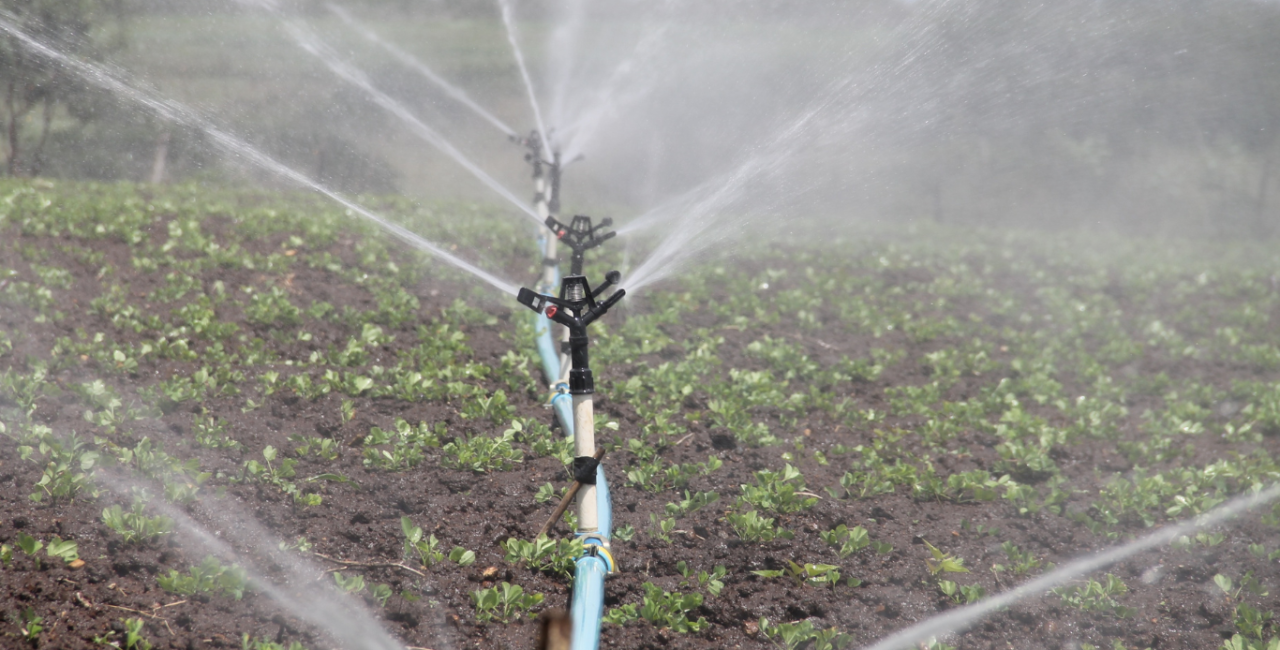 Water Management in Farming: How Smart Irrigation is Solving Global Water Scarcity